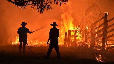 Ødeleggende skogbranner raser over hele Australia