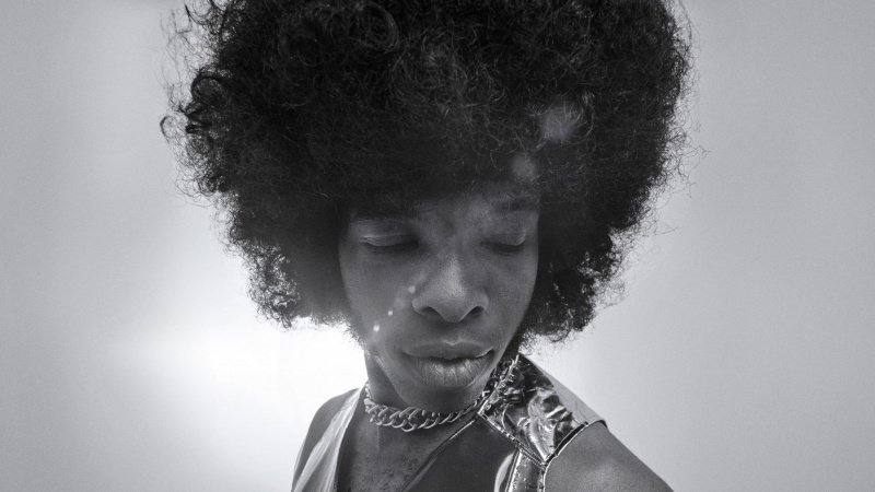   Sly and the Family Stone