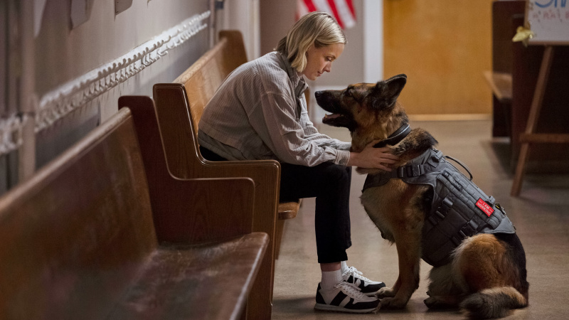   Rachel Skarsten dans Jazz Ramsey : Un mystère K-9