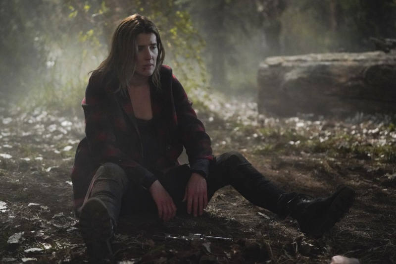 Cobie Smulders Stumptown Staffel 1 Dex Parios