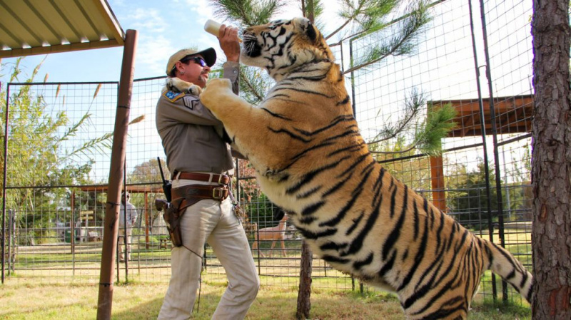 ¿Quién está realmente detrás de las canciones de Joe Exotic, estrella de 'Tiger King'?