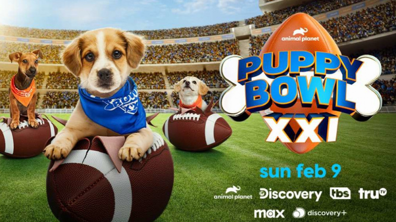 Puppy Bowl 2025: дата, собаки и все, что мы знаем о событии, ориентированном на домашнее животное