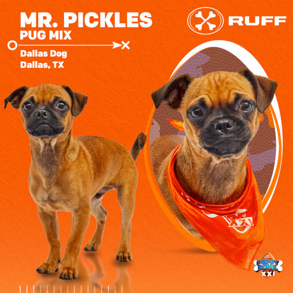   Puppy Bowl 2025 Mr. Pickles