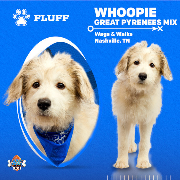   Puppy Bowl 2025 Whoopie