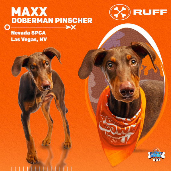   Puppy Bowl 2025 Maxx