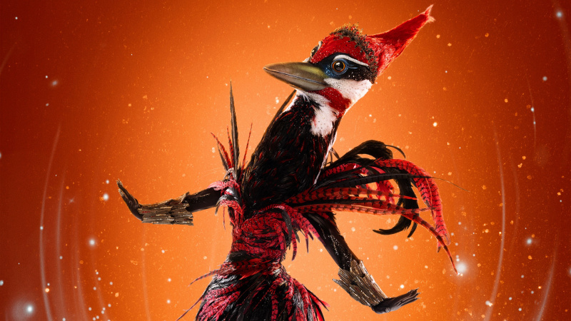 Rähni reklaampilt filmis The Masked Singer, 12. hooaeg