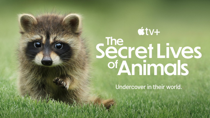 The Secret Lives of Animals: data lansării, ce se întâmplă, ghid de episoade, trailer și tot ce trebuie să știi