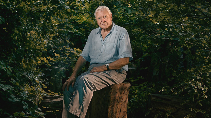 Cum să urmăriți Asia online: transmiteți în flux cele mai recente serii de la Sir David Attenborough de oriunde în lume