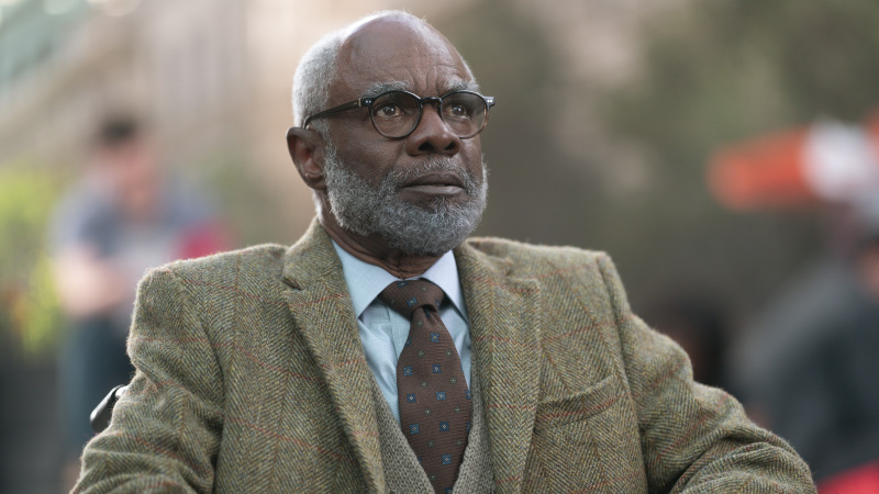   Glynn Turman kao Chiron u Percy Jackson & The Olympians