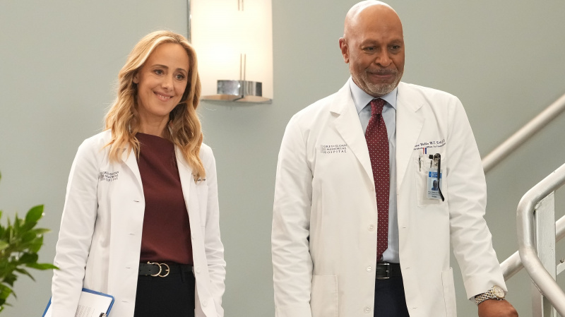 Príchody a odchody Grey's Anatomy – všetky najnovšie zmeny v obsadení
