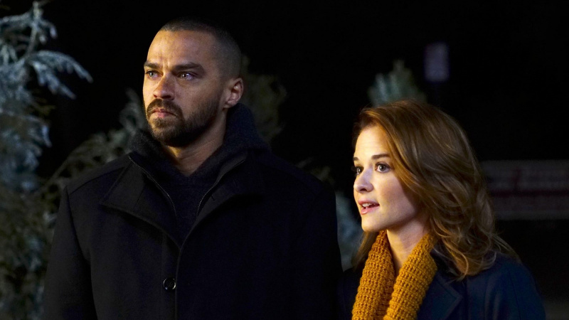   Jesse Williams a Sarah Drew ako Jackson a April na Grayovi's Anatomy