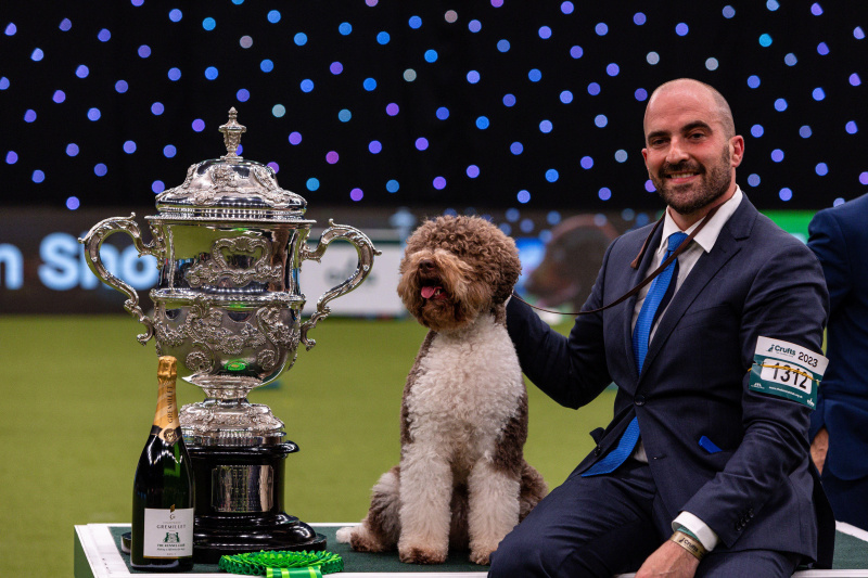   Победитель Best in Show Crufts 2023: косатка Лаготто Романьоло из Хорватии и ее владелец г-н А. Лючин позируют возле большого трофея и бутылки шампанского.