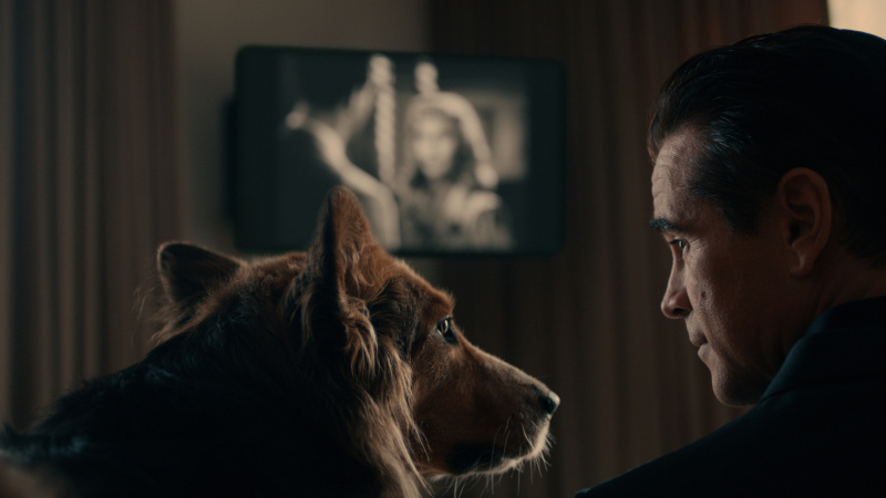   Colin Farrell et un chien dans l'épisode 3 de Sugar, sur Apple TV Plus.