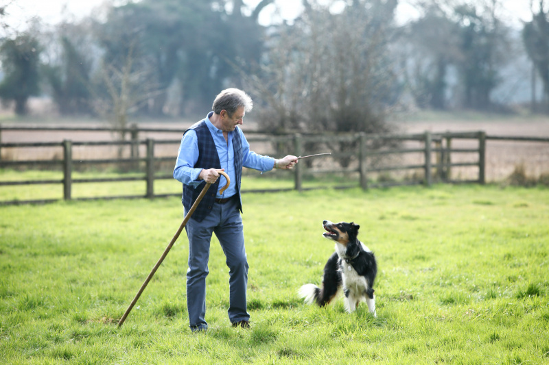  Alan Titchmarsh z Finnem, Manor Farm's Border Collie