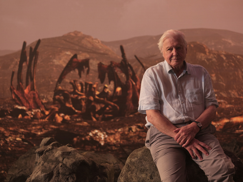   TV bu gece David Attenborough sunar.