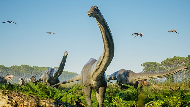   Eine Gruppe von Diplodocus