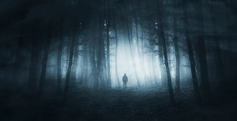 ID'nin son suç özel bölümü Attacked in the Woods bu gece gösterime giriyor