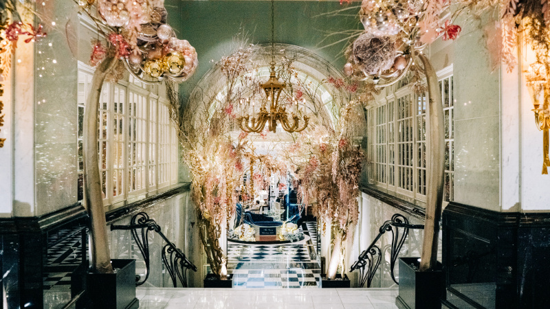   Вид на отель «Савой».'s "Champagne Forest"