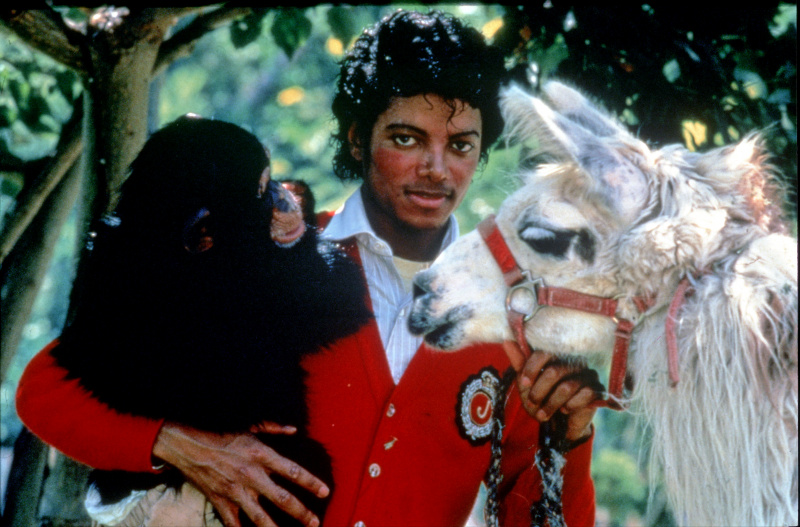   TV esta noite Michael Jackson em seu rancho Neverland.
