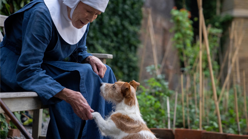   Sestra Monica Joan (Judy Parfitt) drži psa Nothinga's paw in Call the Midwife season 12.