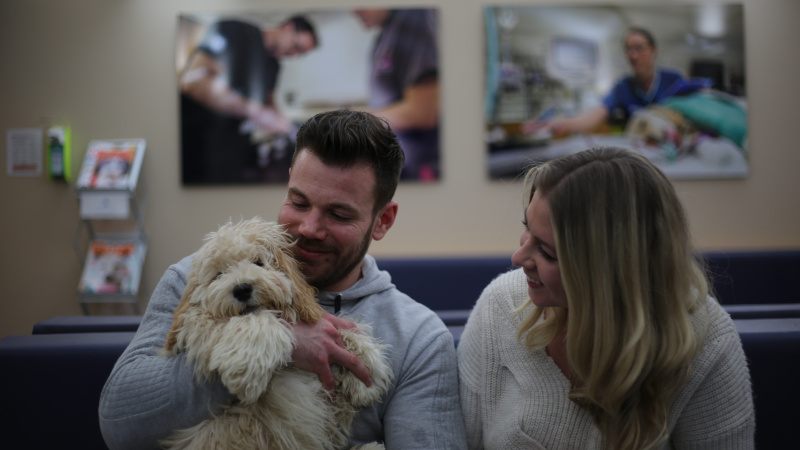   The Supervet: Puppy Special'da sahipleriyle birlikte Cockapoo Monti