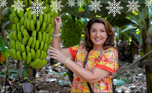 Jane McDonald ile Kanarya Adaları, Kanal 5'te dört bölümlü yeni bir bölümdür.