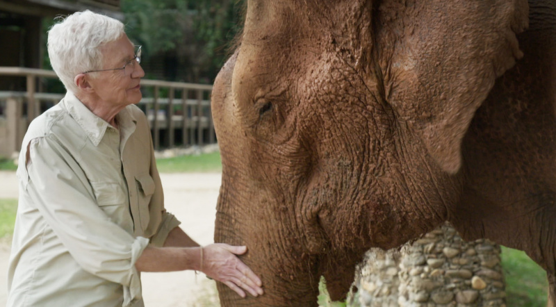   Παύλος'Grady meets the Elephants at The Elephant Nature Park, which is the largest elephant rescue centre in Thailand