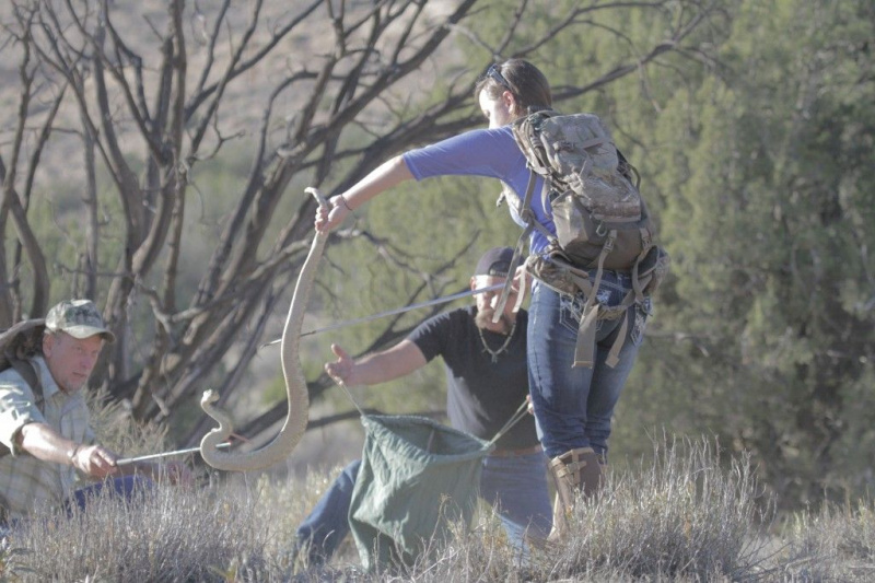 Venom Hunters demuestra que es una locura capturar serpientes y eliminar su veneno (VIDEO)