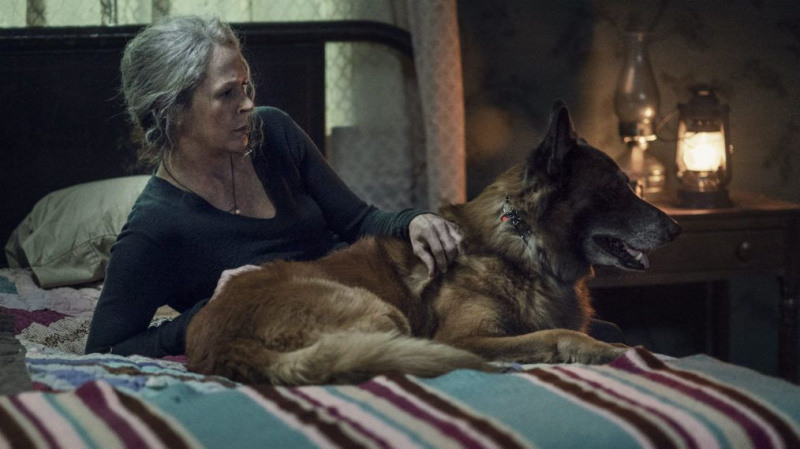 'The Walking Dead': Två vänner divergerade i ett Walker-infekterat trä ... (RECAP)