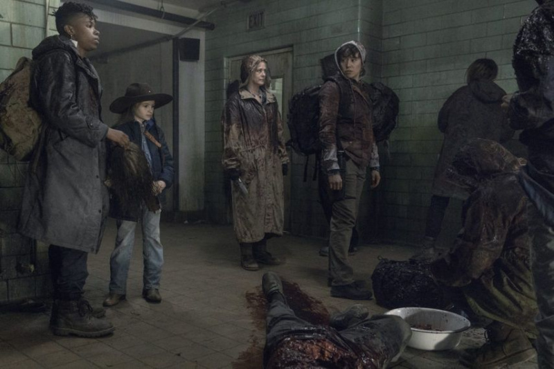 die wandelnden toten eine bestimmte untergangsgruppe carol daryl melissa mcbride norman reedus
