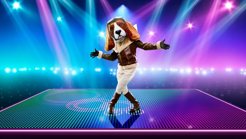 The Masked Dancer Beagle