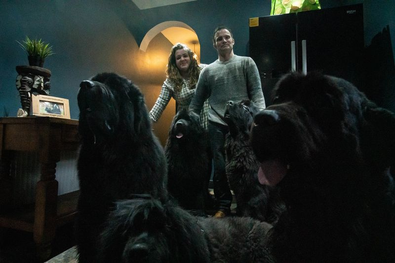 Ο Mark και η Emma με τα Newfoundlands τους στο Big Dog Britain