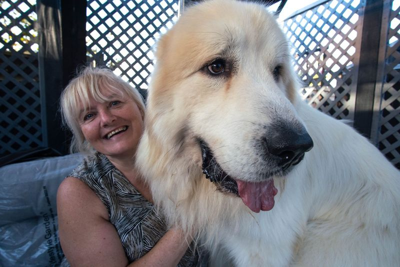 Η Σούζαν με τον σκύλο της Μπόρις στο Big Dog Britain