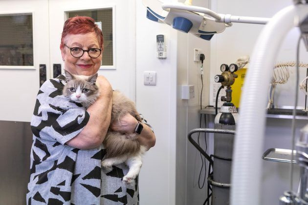 Jo Brand gosar en kattunge