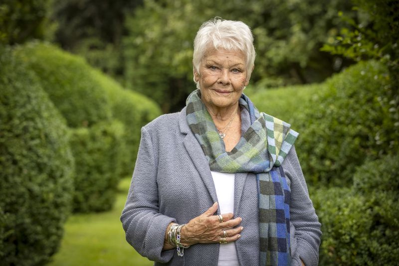 Judi Dench în sezonul 18 din Who Do You Think You Are?