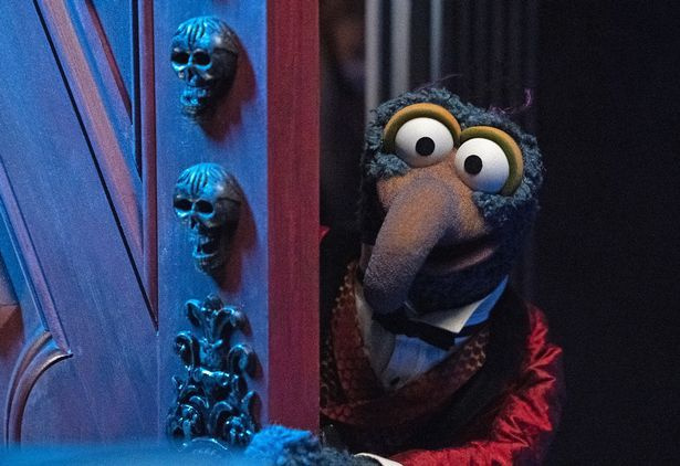  Wird Gonzo eine Nacht in der überleben