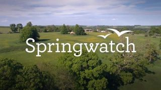 Springwatch vietnē BBC2 — jauni prezentētāji, atrašanās vietas un viss, kas jums jāzina