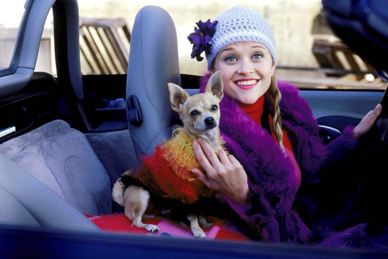 Reese Witherspoon kaip Elle Woods