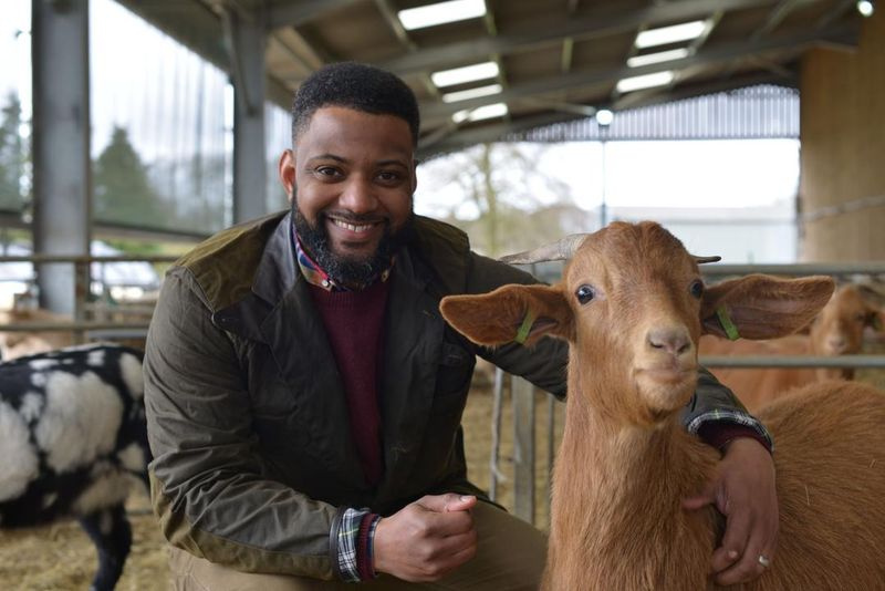 Vasara ūkyje JB Gill
